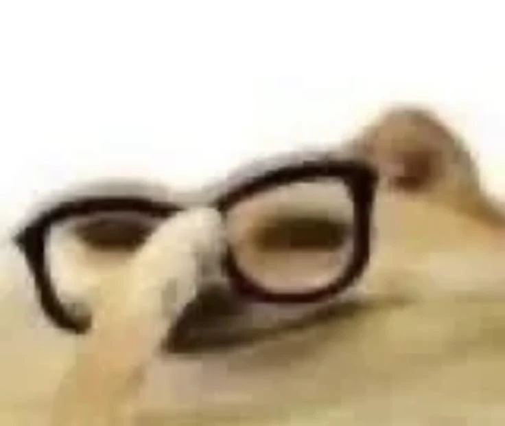 Mr I know everything thumbnail