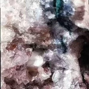 🏳️‍⚧️🏸 crystal🏸🌸🏳️‍⚧️