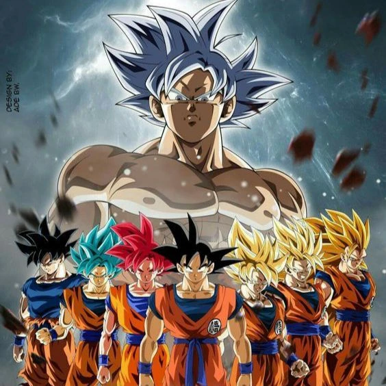 His GOKU (SAIYAN KAKAROT) thumbnail