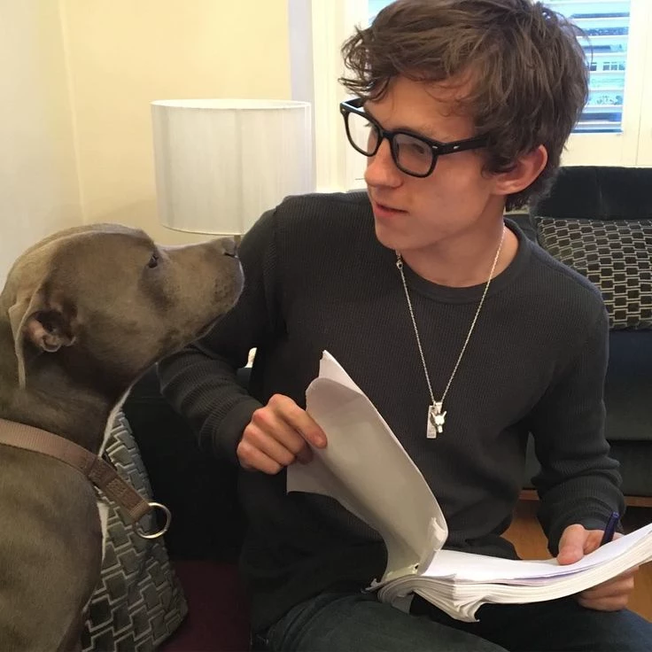 Tom Holland thumbnail