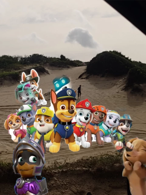 the 13 puppies of the Paw Patrol thumbnail