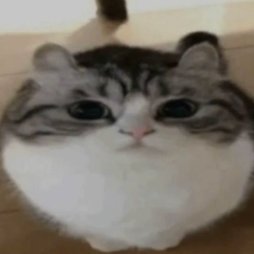 Kat