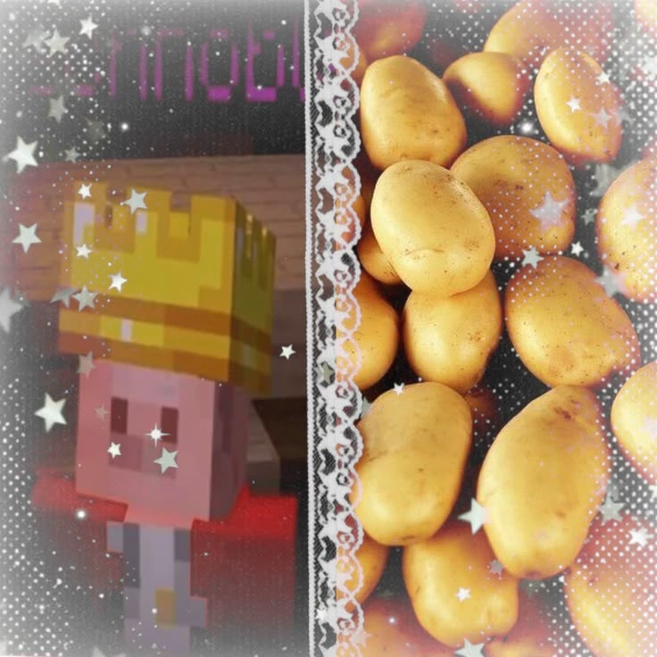 Nietzs