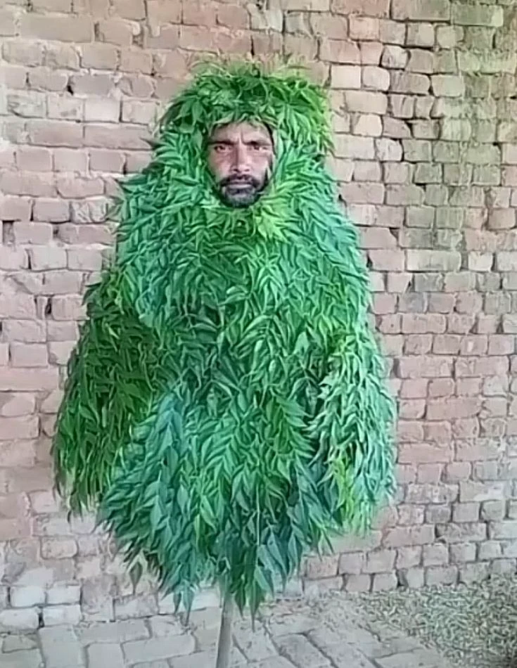 tree man thumbnail