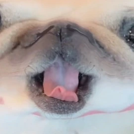 Tamsy thumbnail