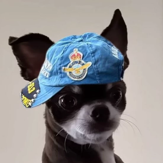 Рэй