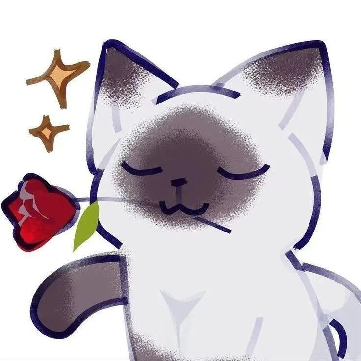 Ami ♥︎