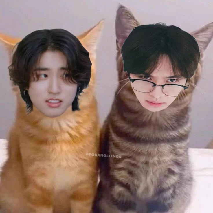WhatsApp Chat with Skz thumbnail