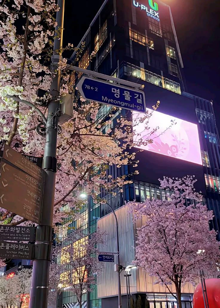 Seoul Life RPG thumbnail