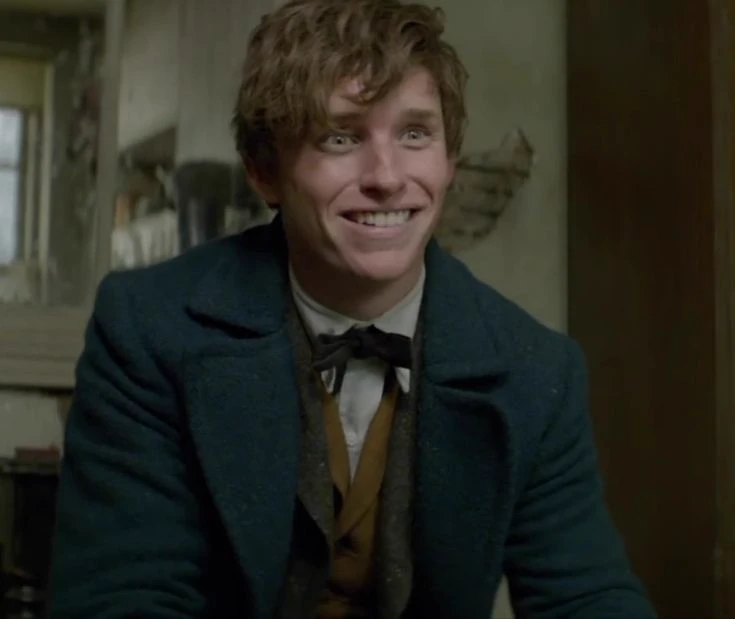Newt Scamander thumbnail