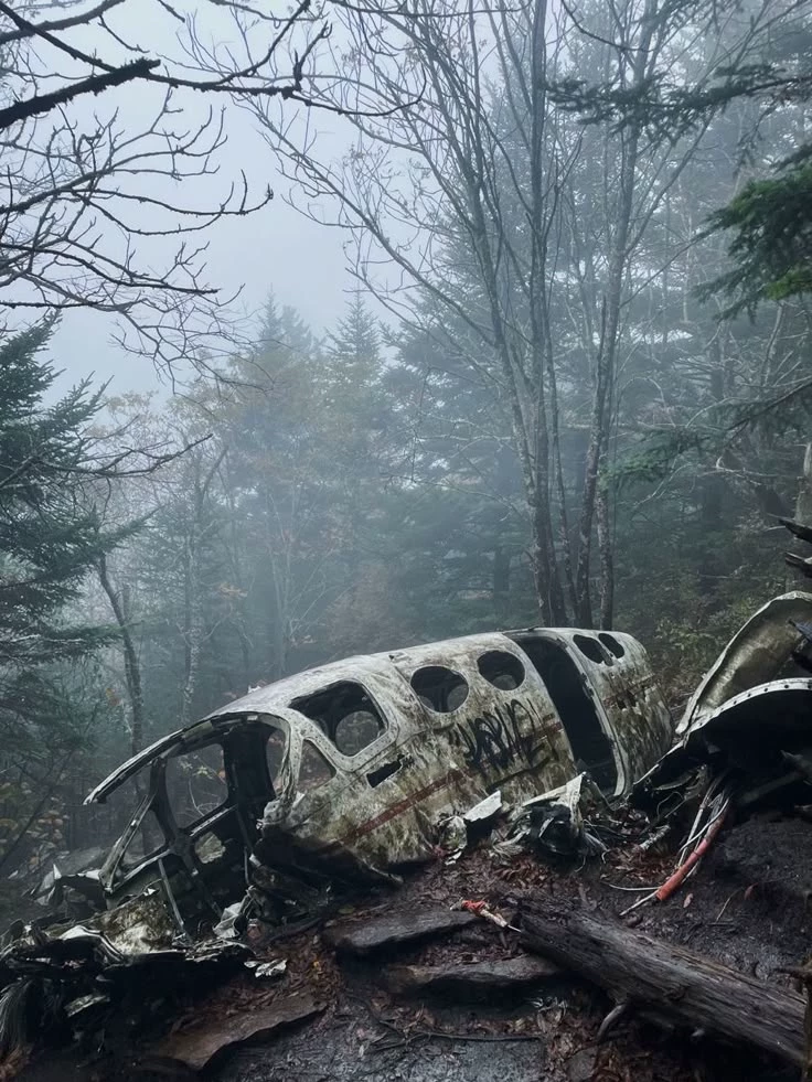 Plane crash (stuck with your sergent) thumbnail