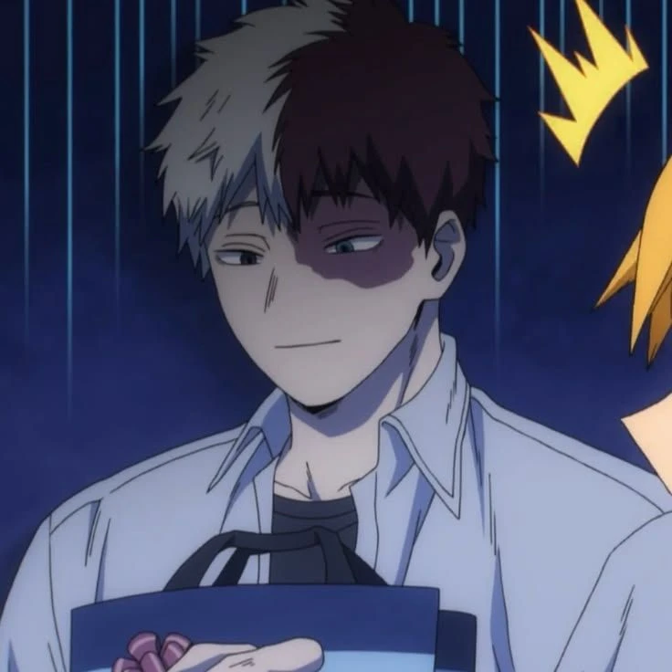 Shoto Todoroki thumbnail