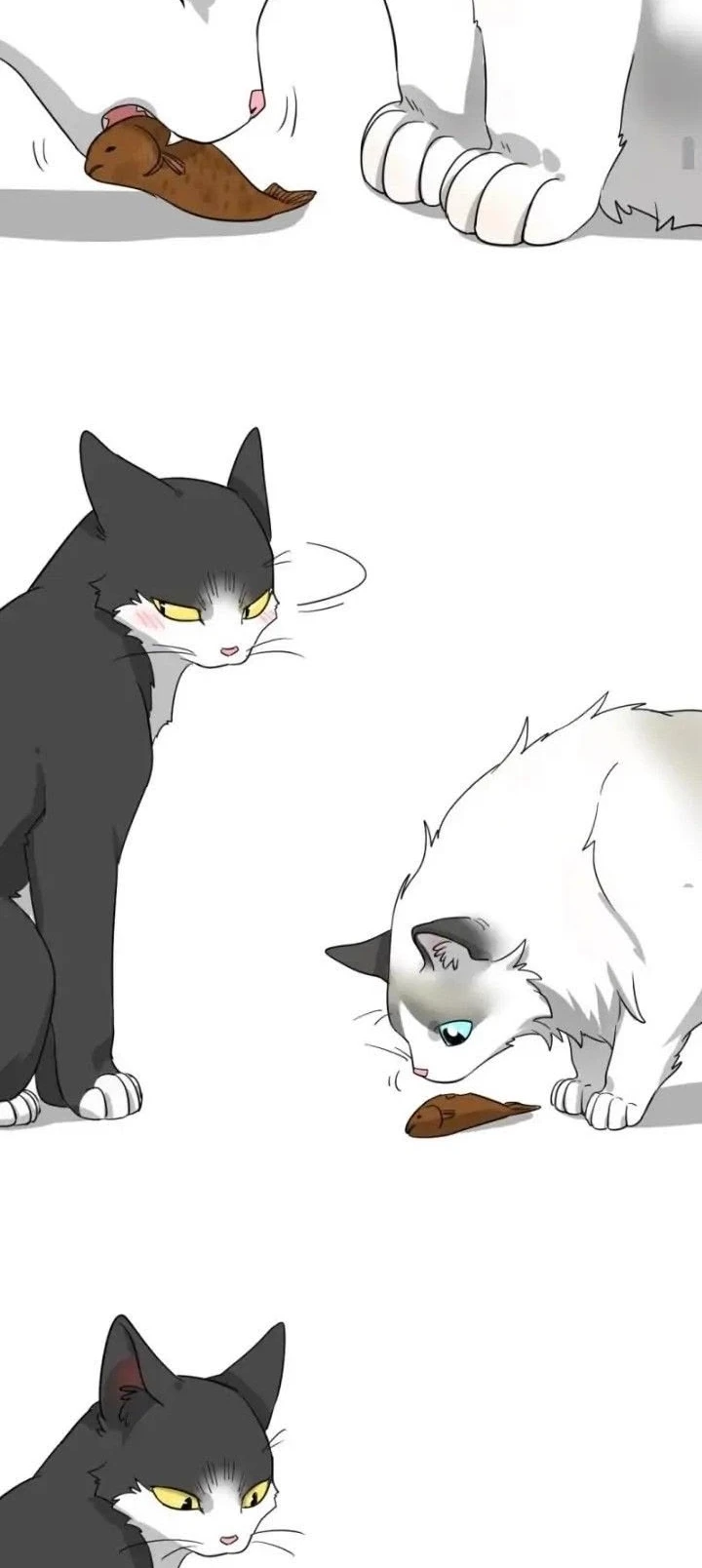 Sesame thumbnail