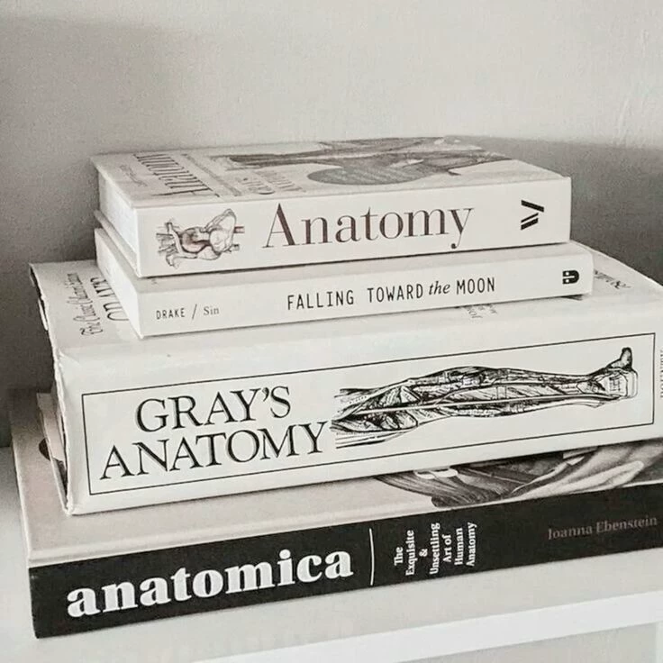 GREY'S ANATOMY thumbnail