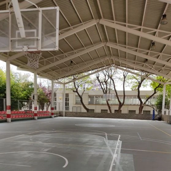 Latin America School thumbnail