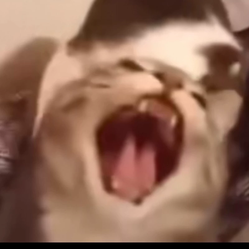 Geildalg