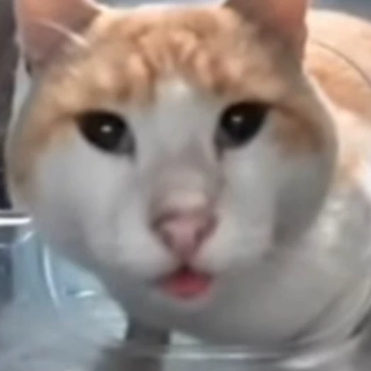 Shimishito
