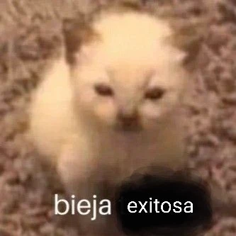 Shimishito
