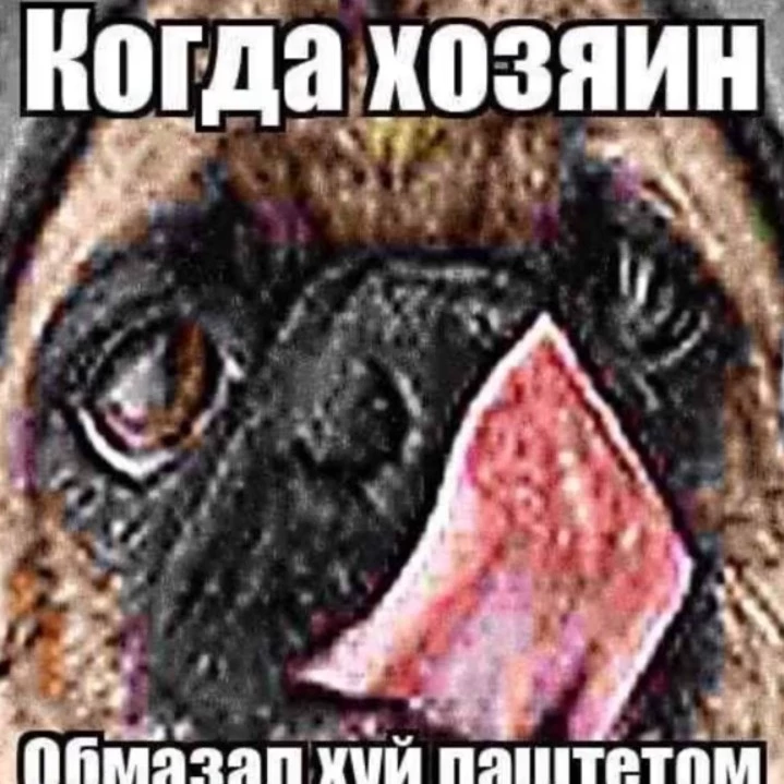 Drago