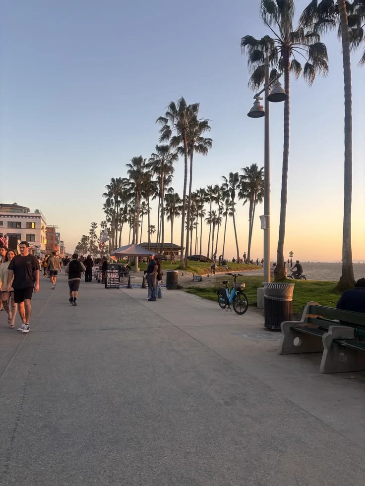 Venice High School thumbnail