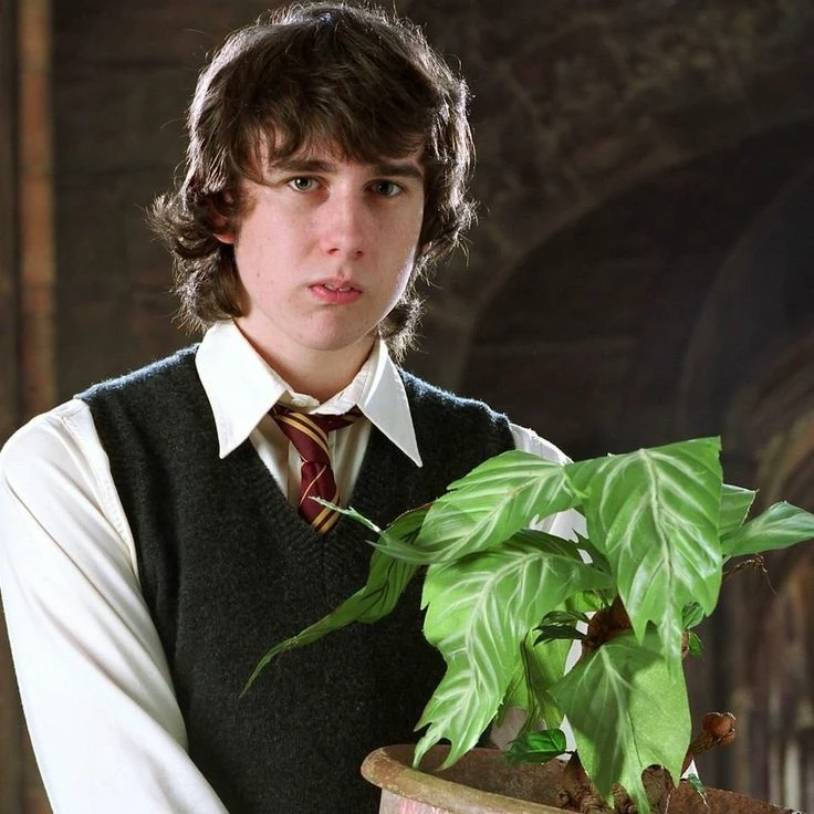 Neville Logbottom thumbnail