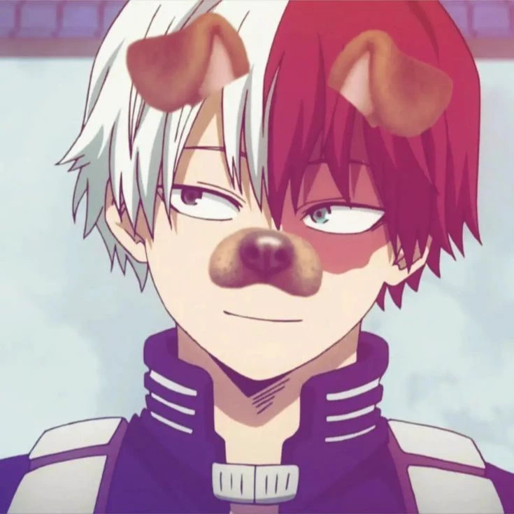shoto todoroki thumbnail