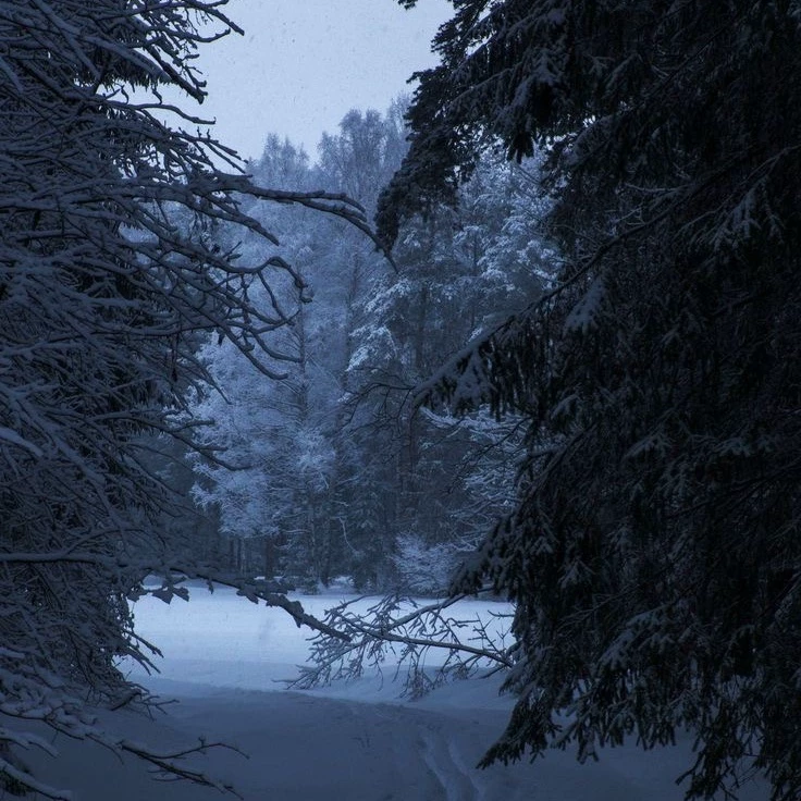 winter? thumbnail