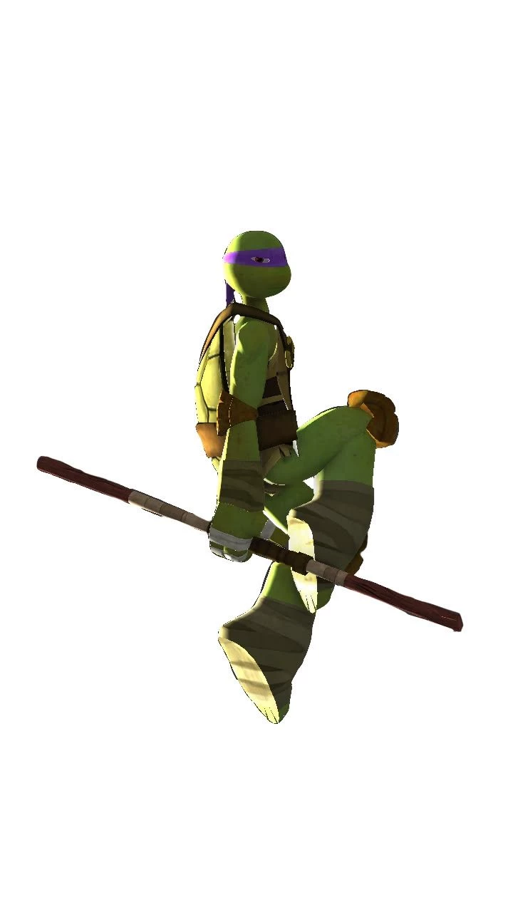 Donatello _Donny_ 2012 TMNT  (Teenage Mutant Ninja Turtles Ice dancer ) thumbnail