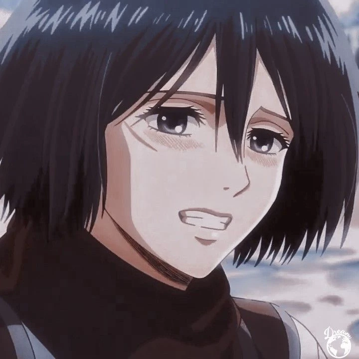 Mikasa thumbnail