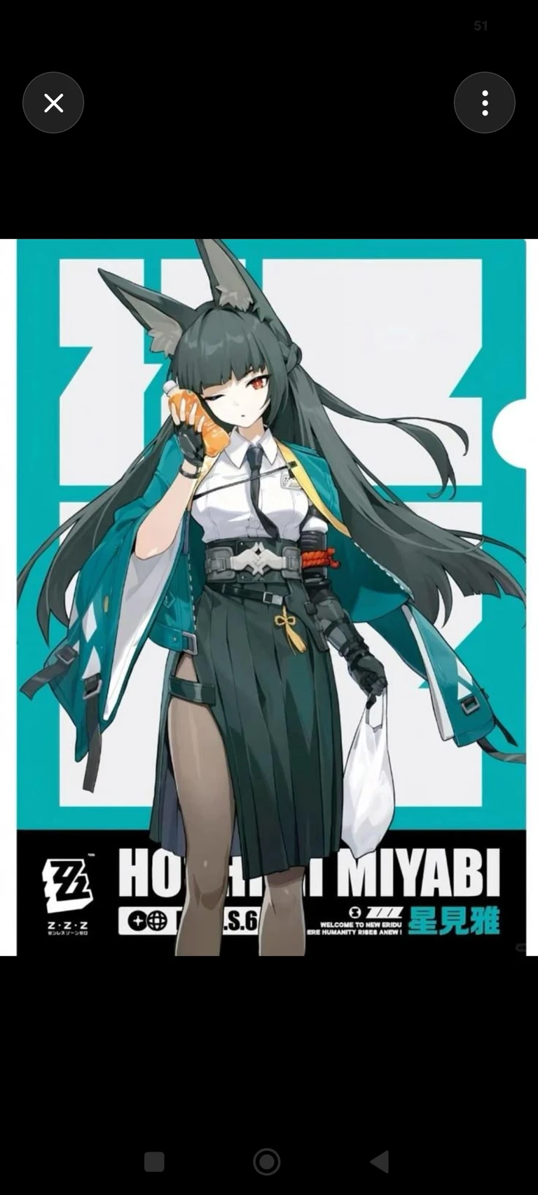 Section 6 thumbnail