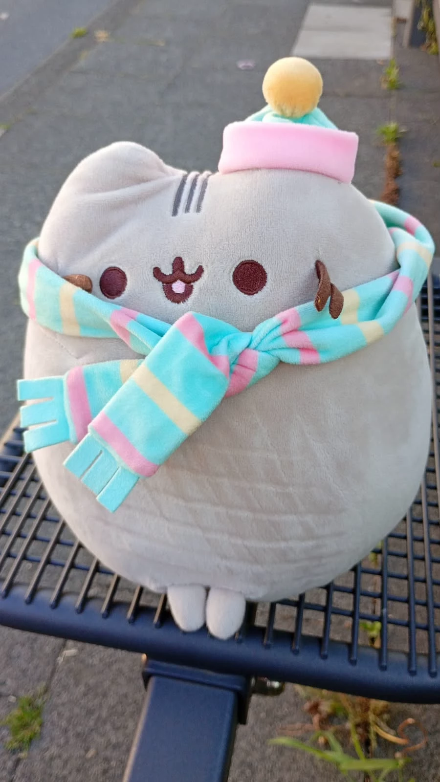 pusheen! ☆ your faithful little cat 𐙚 thumbnail