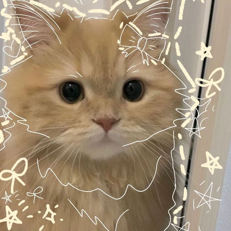 Andy 