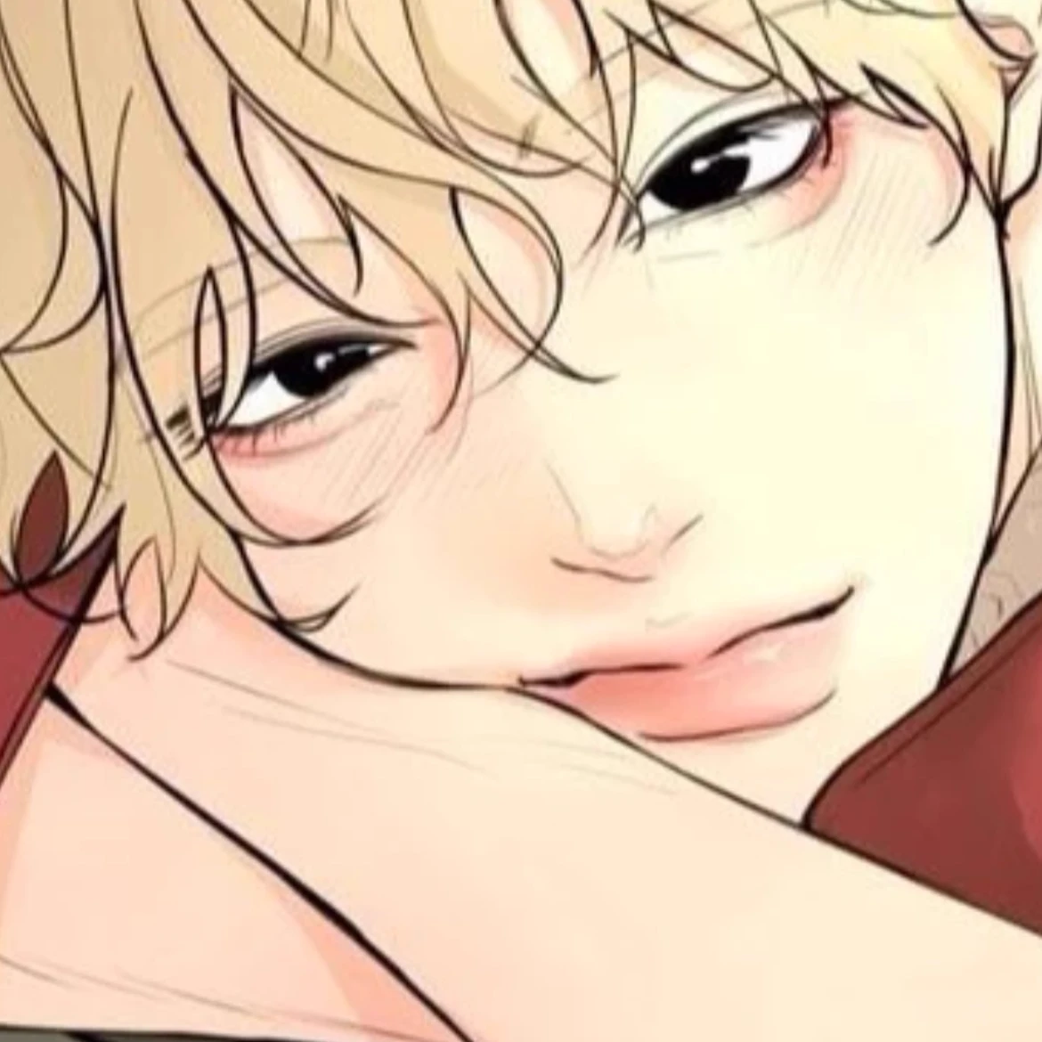 Aster Lysander thumbnail