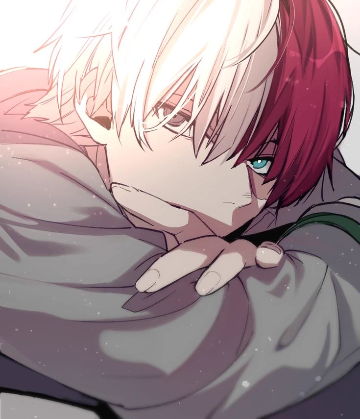 todoroki thumbnail