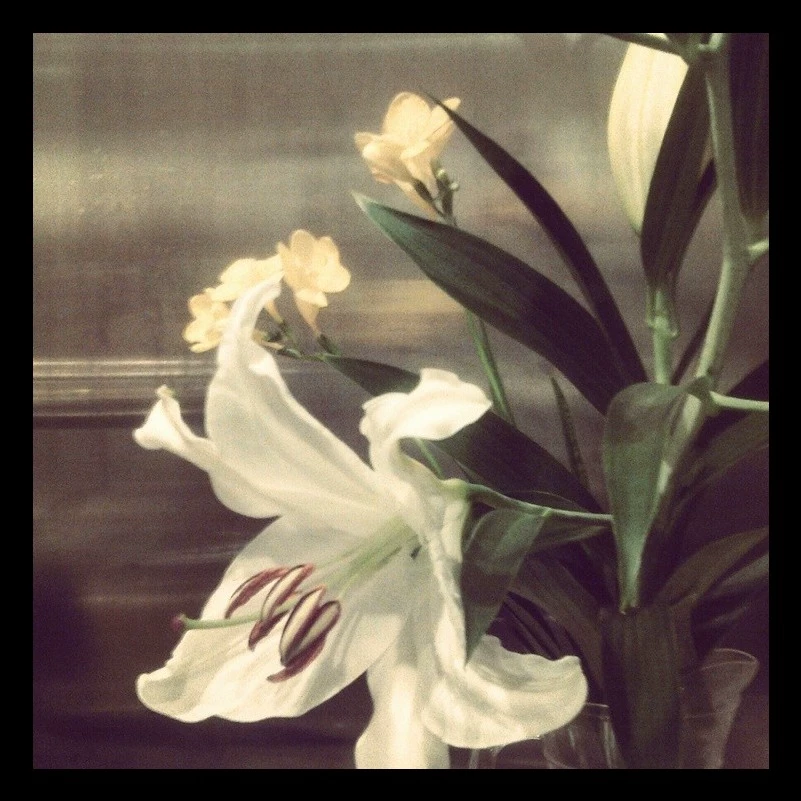 Liliee