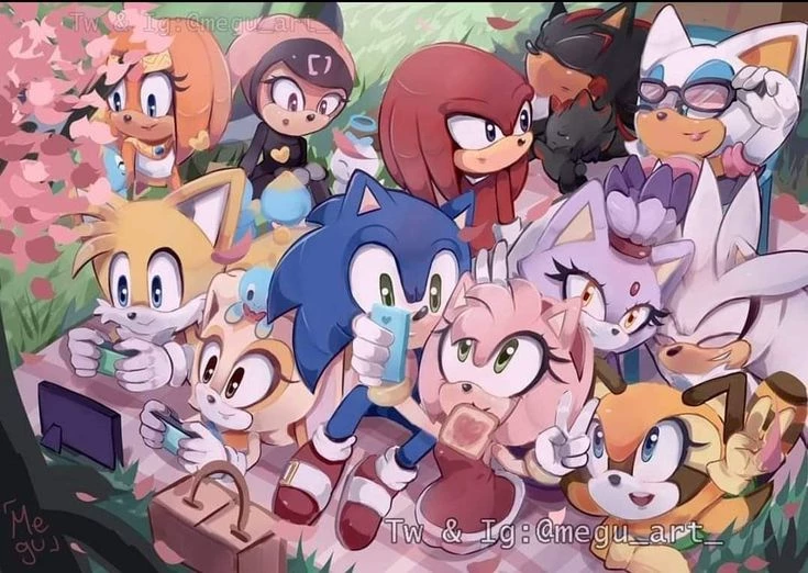 Sonic Crew thumbnail