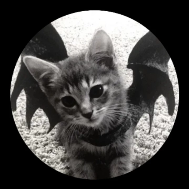 Показывать