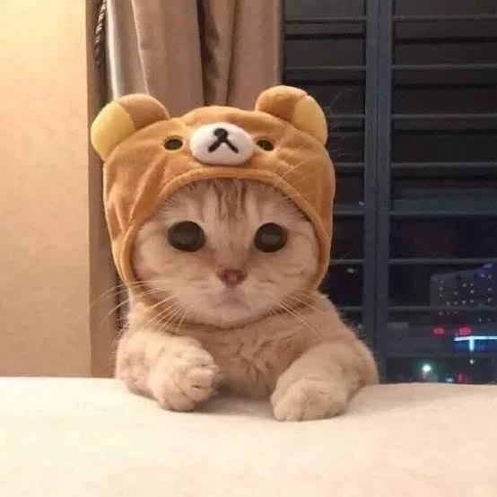 Lucas