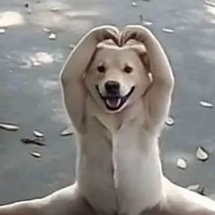 ㅏㅕㅙ