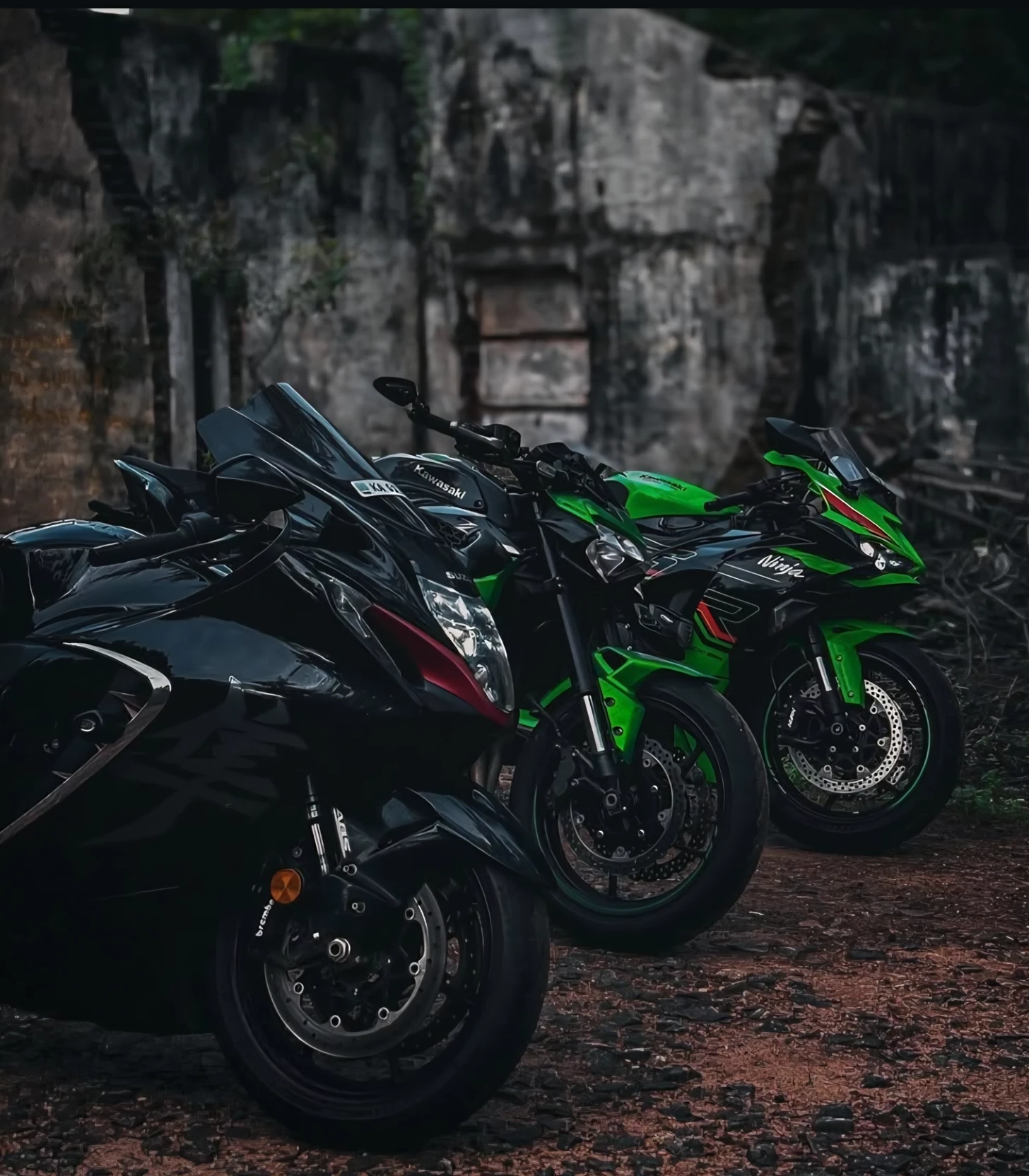 Biker Buddies thumbnail