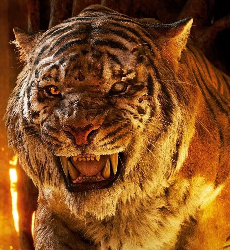 Shere khan thumbnail