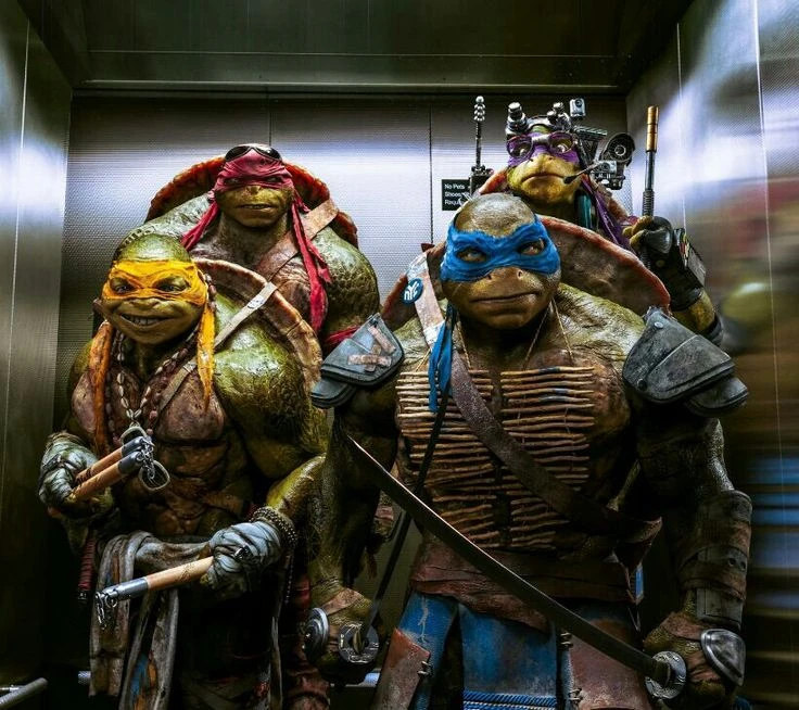 TMNT \[2014/2016\] (bayverse) thumbnail