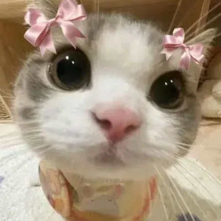Fëyîsârá 