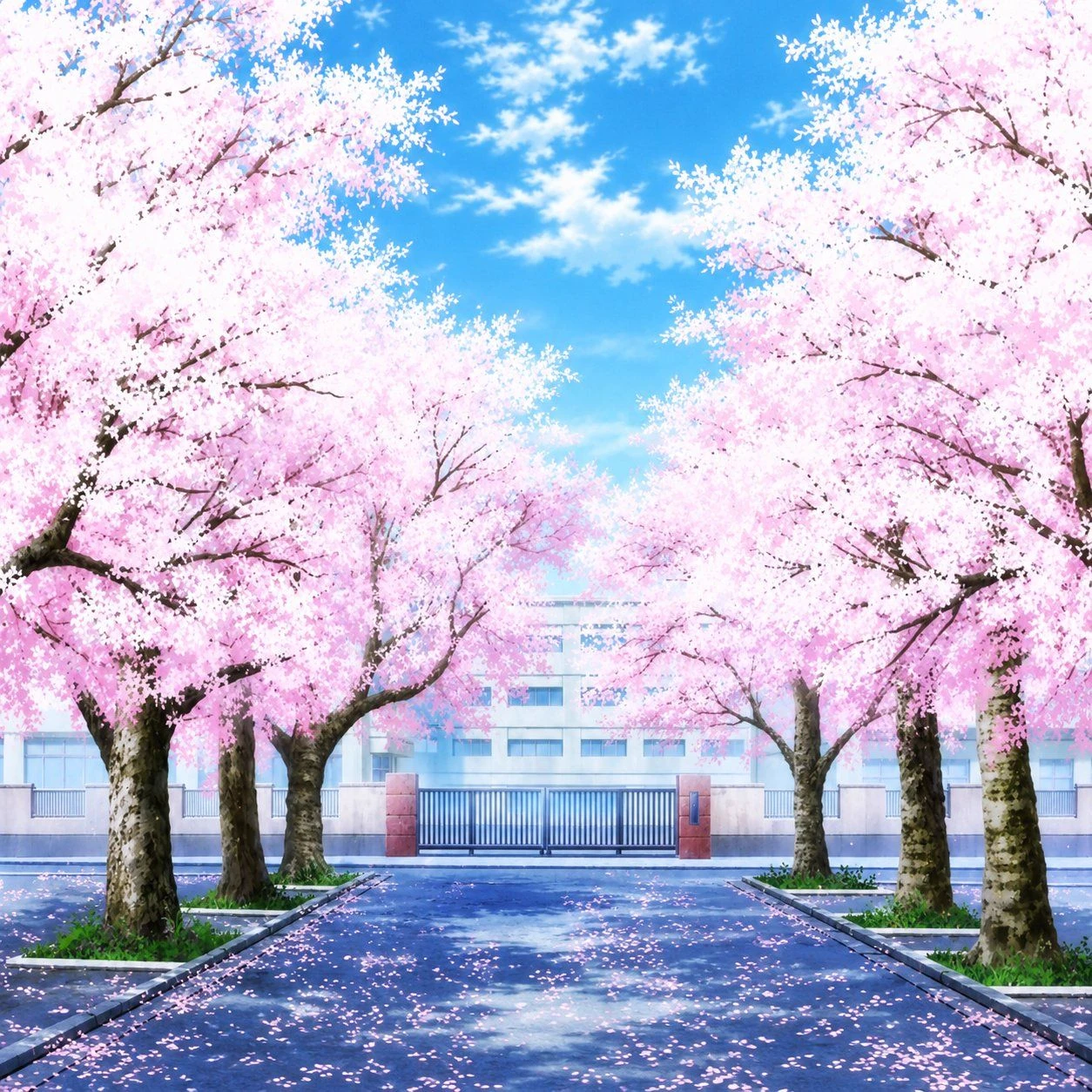 New summer, new life thumbnail