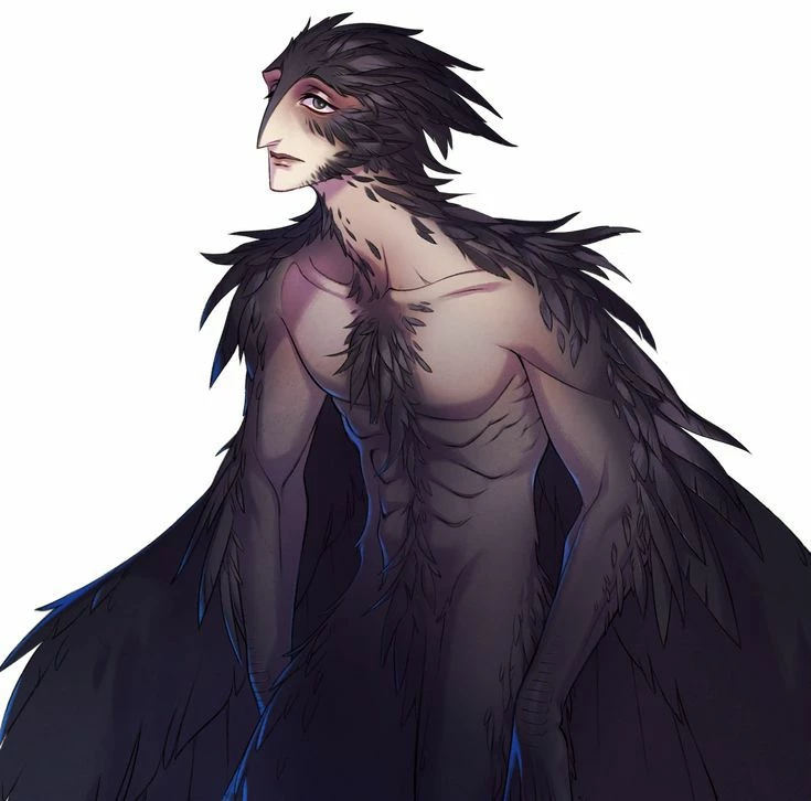 Corbin Corvus – Male Harpy thumbnail