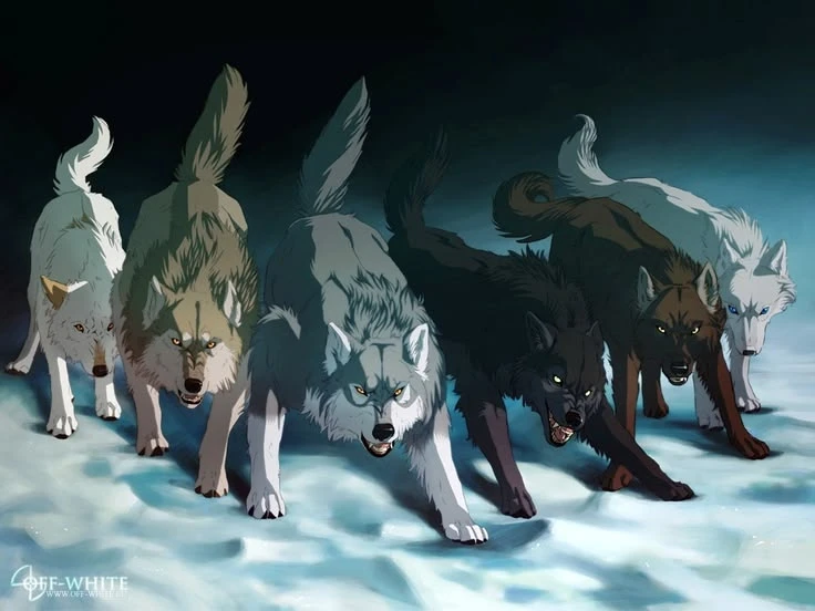 Wolf pack thumbnail