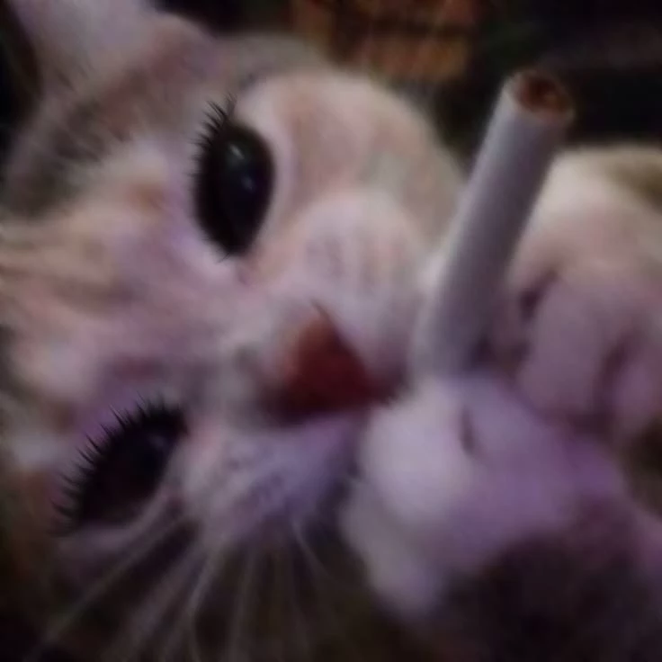 hhiii