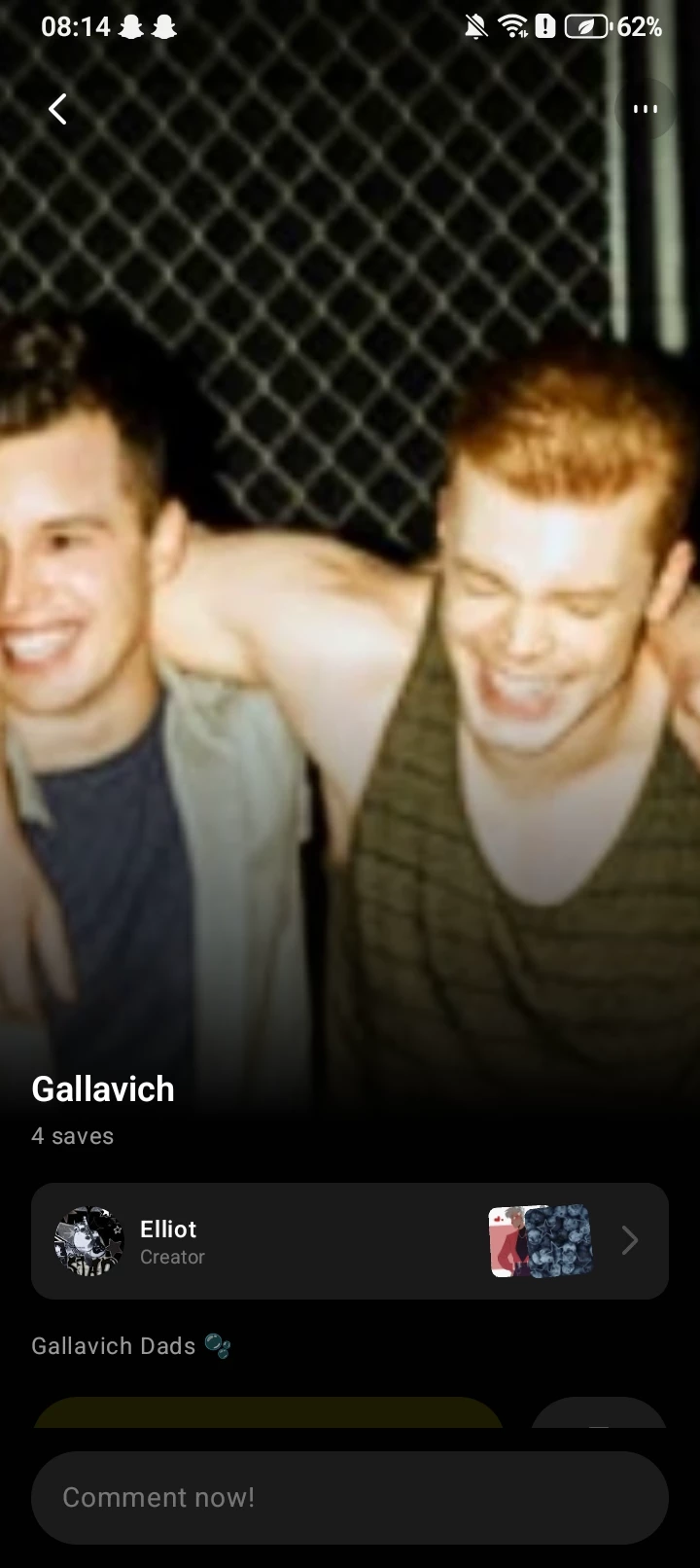 poly gallavich thumbnail