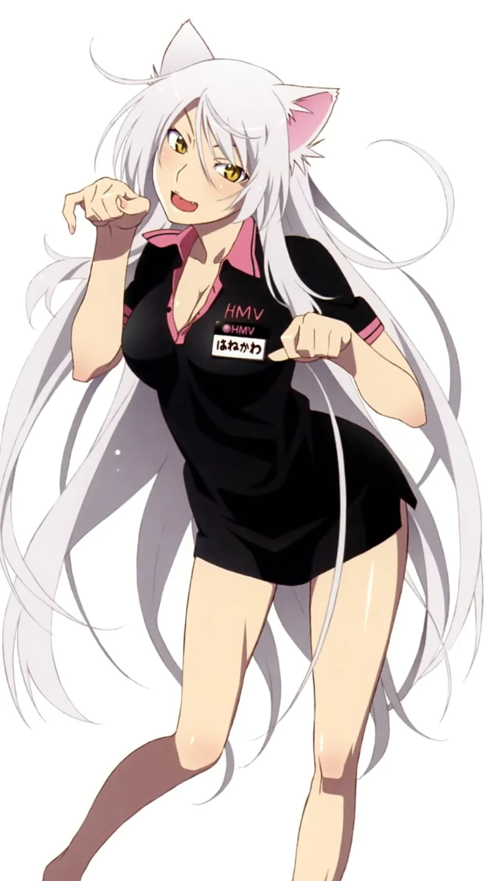 Tsubasa Hanekawa thumbnail