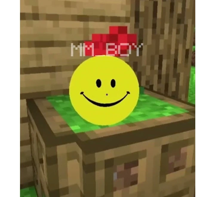 verity thumbnail